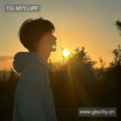 韦保易